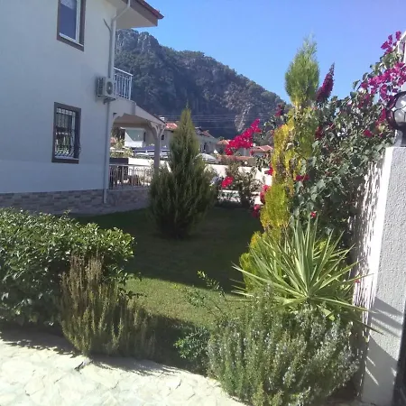 Mete Dalyan