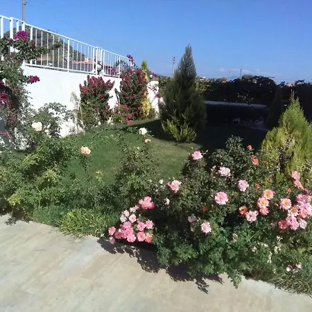 Mete Villa *
